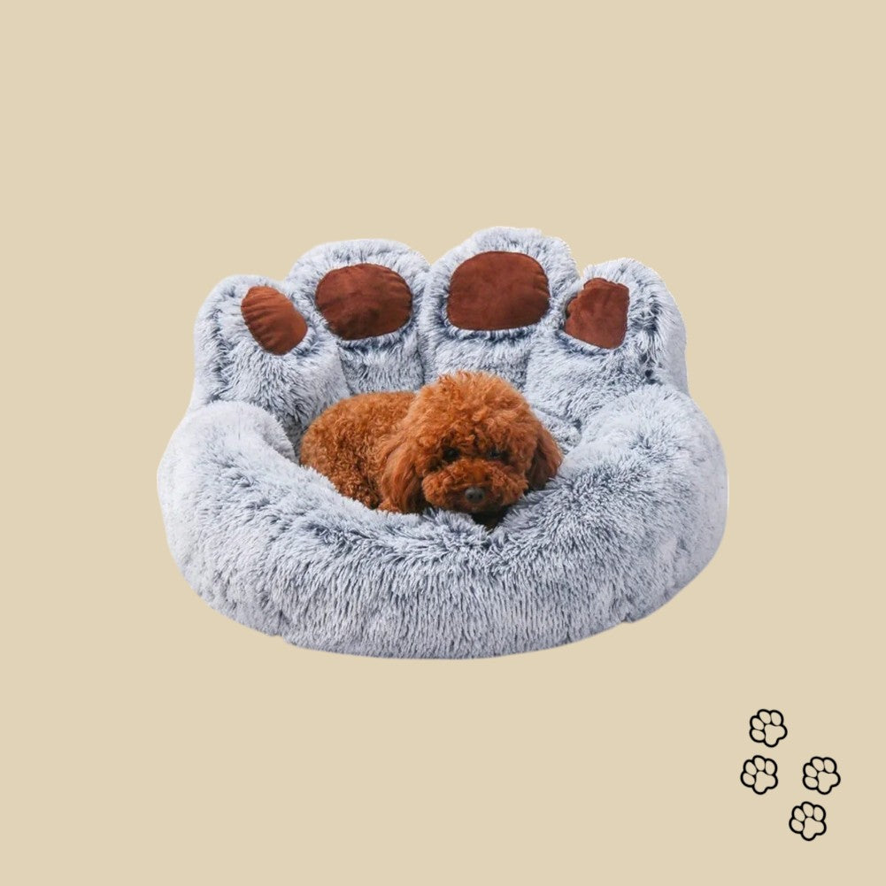 Bed for Anxious Pets 🛏️